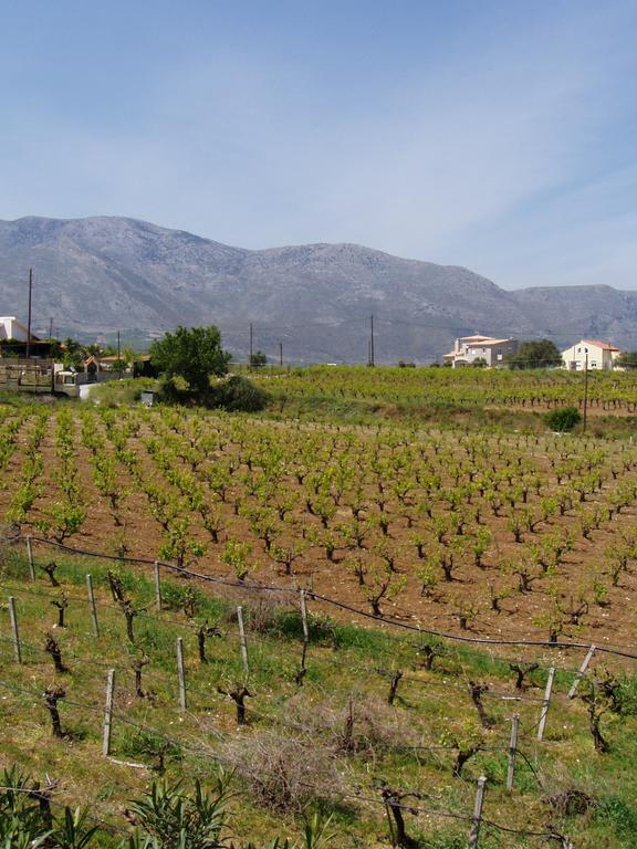 Christina Villas- Minoan Inland Pentamodi Экстерьер фото